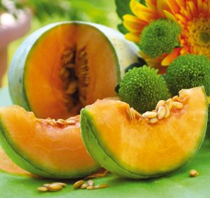 Melon